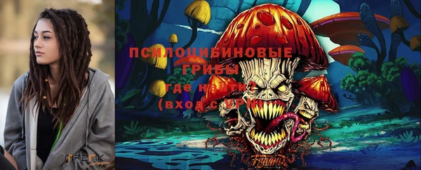 Альфа ПВП Карпинск