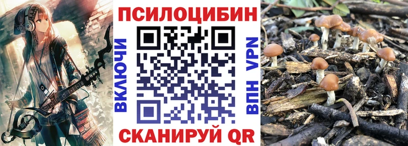 Псилоцибиновые грибы Psilocybine cubensis Верхняя Тура
