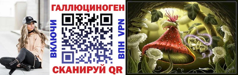 Купить  Верхняя Тура  Галлюциногенные грибы Cubensis 